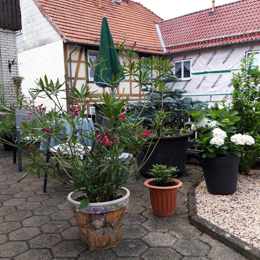 Ferienwohnung Am Berge Wolfshagen  Екстер'єр фото
